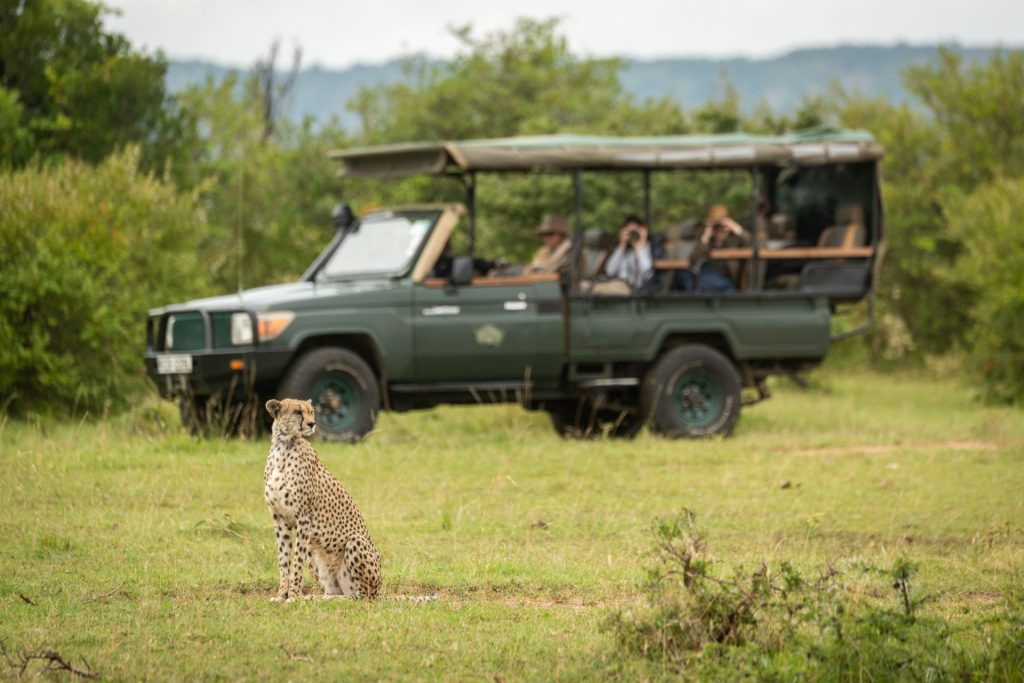 experience muchison falls game drive